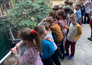 Dzieci w Zoo