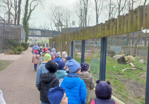 Zwiedzanie w Zoo