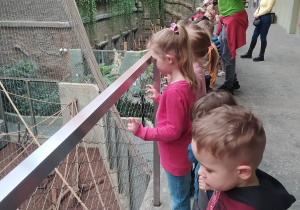 Przedszkolaki w zoo