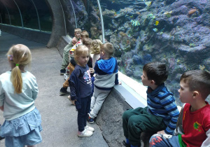 Dzieci i akwarium