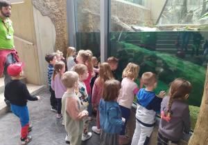 Dzieci odwiedzają zwierzęta